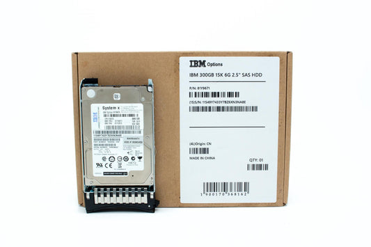 IBM SAS 16 MB Cache 300 GB 2.5-Inch Internal Hard Drive 81Y9670