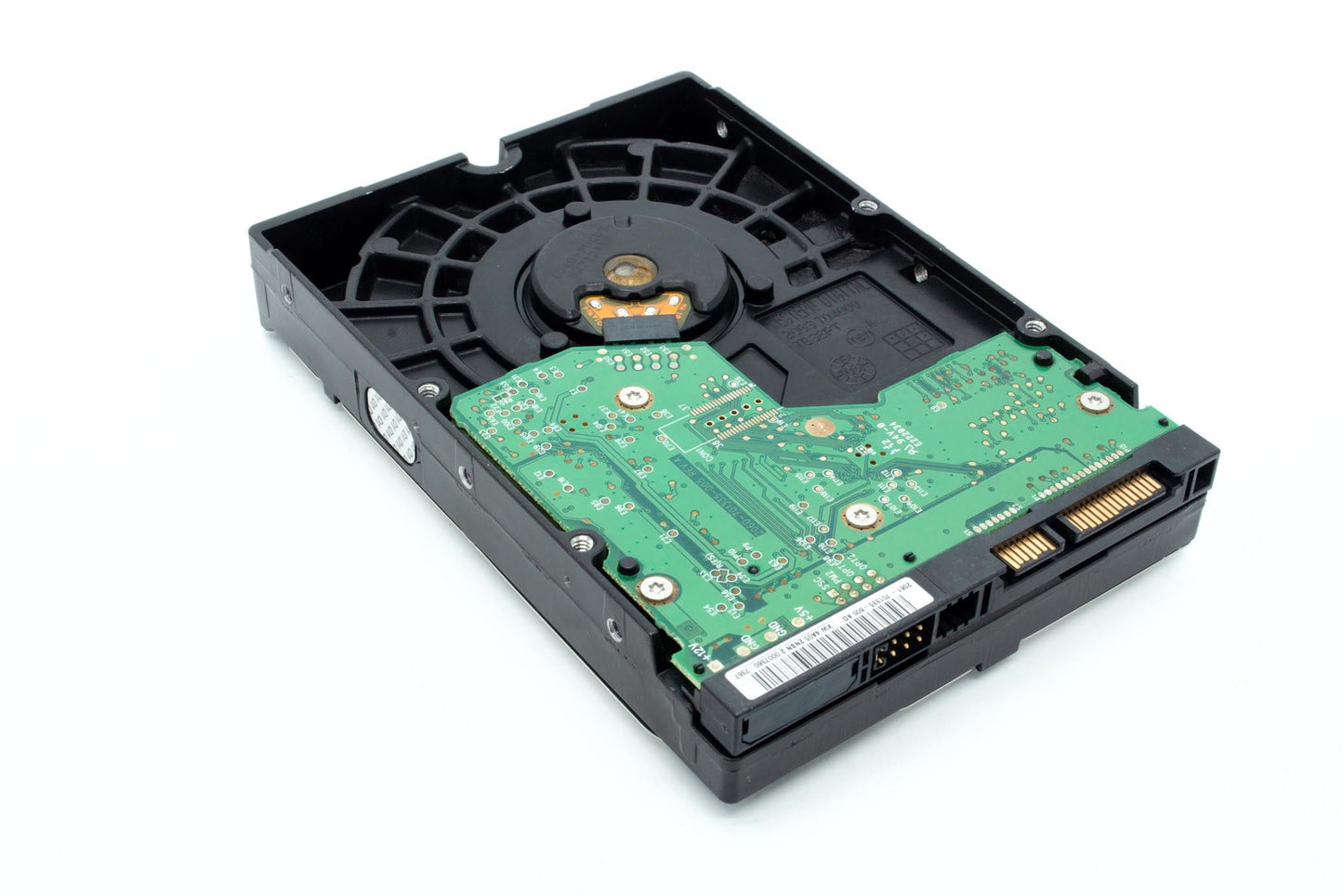 Western Digital 80 GB Caviar Blue SATA 7200 RPM 8 MB Cache Bulk/OEM Desktop Hard Drive WD800AAJS